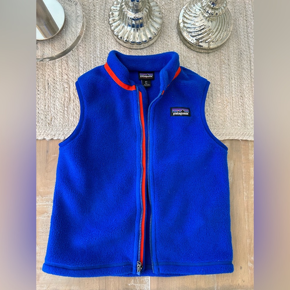 Patagonia Synchilla Vest